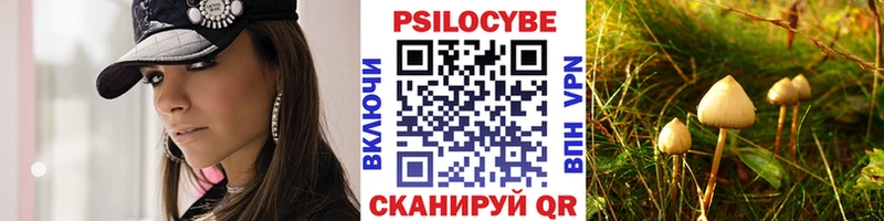 мега как войти  что такое   Поворино  Галлюциногенные грибы MAGIC MUSHROOMS 